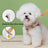 Breathable mesh dog harness and lead set, product image 4