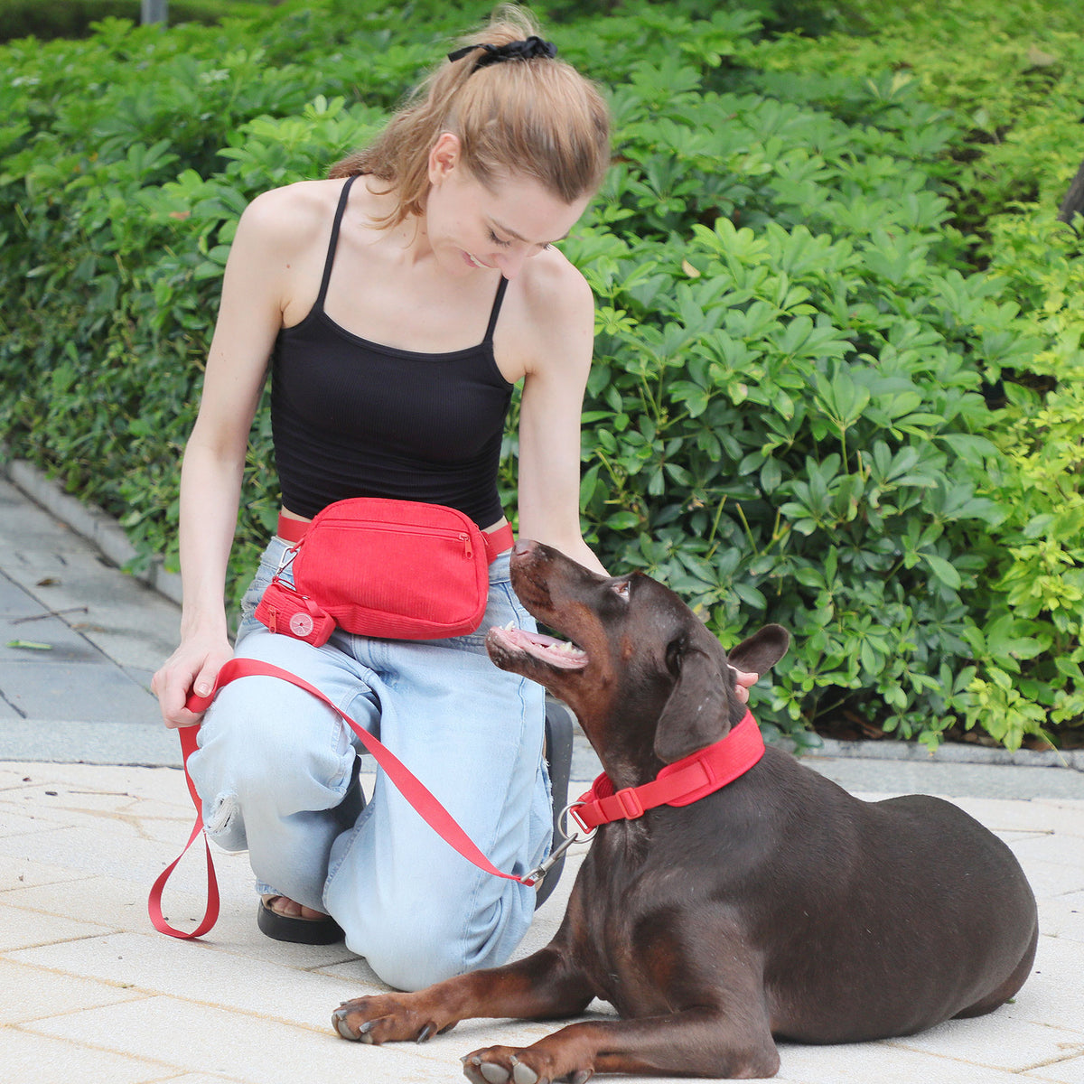 Romantic red corduroy dog harness collar and lead set, 4 sizes available