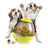 Wobble treat dispensing ball for dogs from Pet Royale, photo 3 of 6