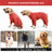 Fleece lined four leg dog hoodie, available in 2 colours, image 4