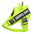 Reflective padded mesh vest dog harness in Green, front view