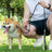 Anti-escape fabric dog slip lead with adjustable loop, product image 3