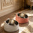Stainless Steel Pet Food Bowl with Slanted Opening and Non-Slip Silicone Base, 100ml