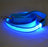Light up nylon dog leads in eight glowing colours
