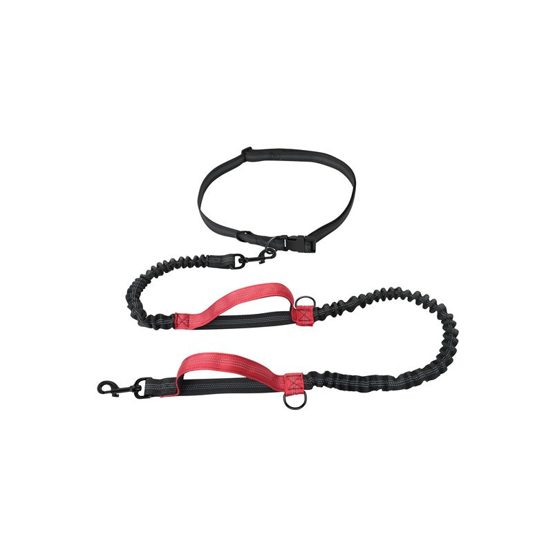 Hands-free dog running lead with waist belt, ideal for everyday use