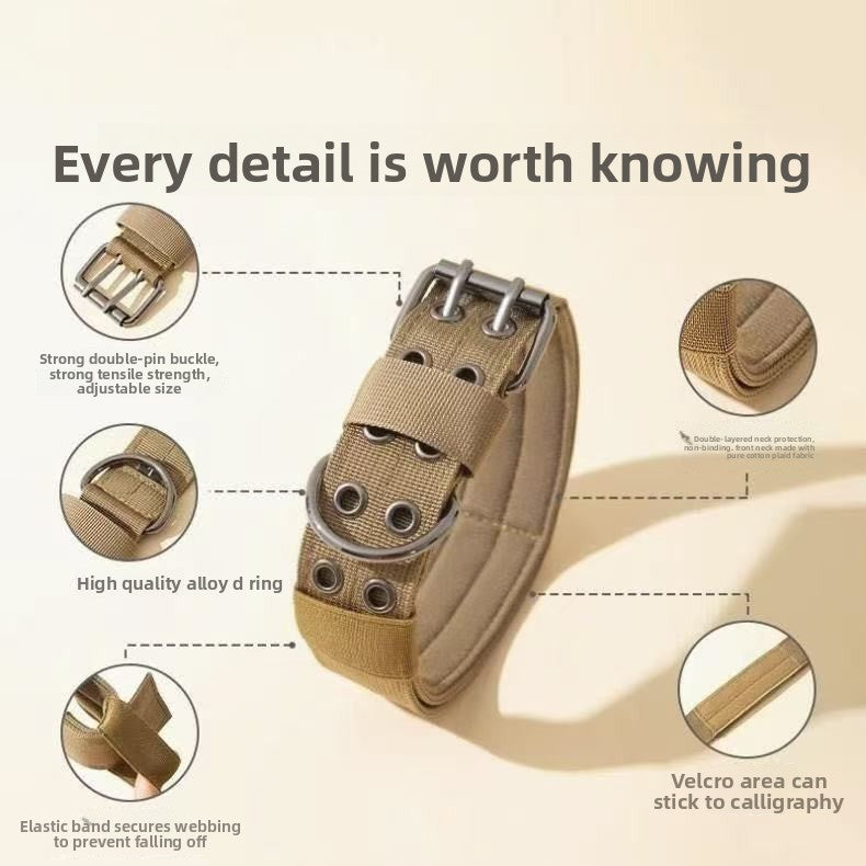 Heavy-duty nylon collar for large dogs, available from Pet Royale UK