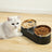 Pet Feeding Bowl