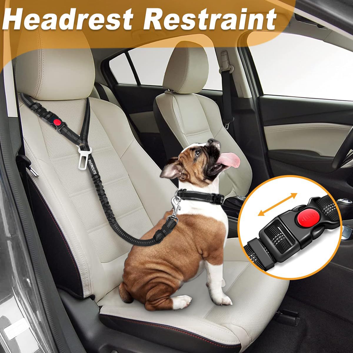 Elastic car seat belt lead for dogs, close-up detail view
