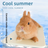 Ceramic cooling pad for rabbits in peacock green