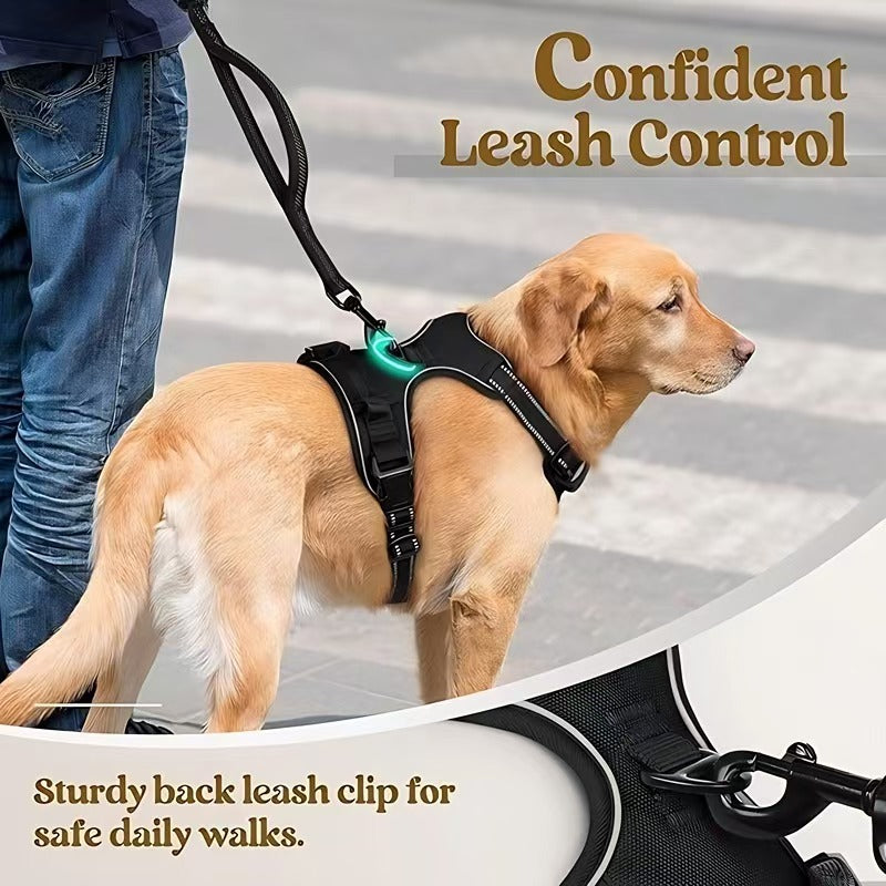 Nylon vest dog harness with matching lead in peacock blue
