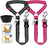 Shock-absorbing bungee lead for large dogs, ideal for everyday use