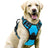 Nylon vest dog harness with matching lead in peacock blue