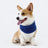 Cool touch cooling scarf for dogs and cats, available in 9 colours, image 11