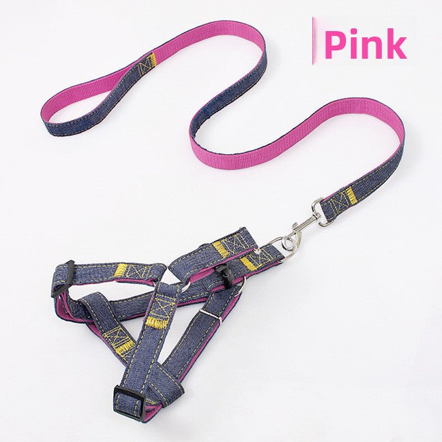 Soft red harness and lead on a small dog