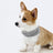Cool touch cooling scarf for dogs and cats, available in 9 colours, image 10