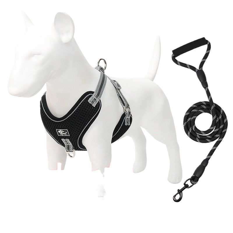 Mesh reflective dog harness, available from Pet Royale UK