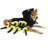 Funny spider Halloween costume for dogs and cats in Spider, side view