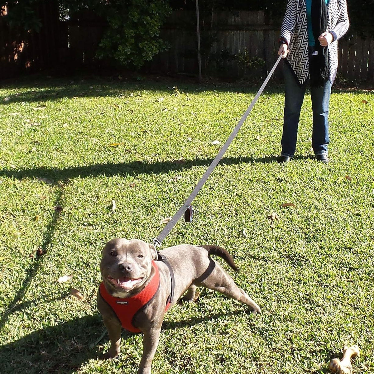Thick reflective dog leads in black, green, orange and blue