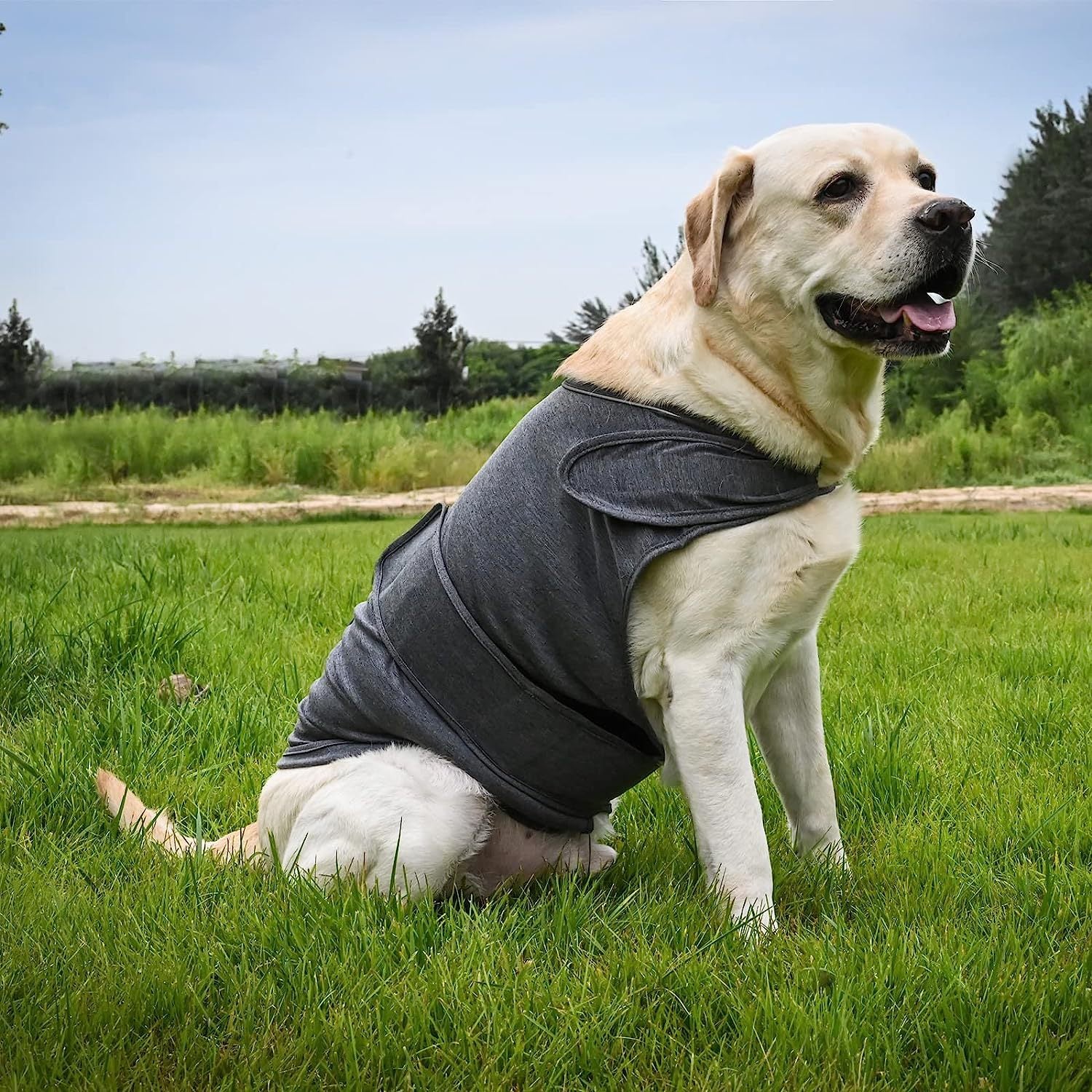 Knitted dog comfort wrap vest, available in 2 colours, image 5
