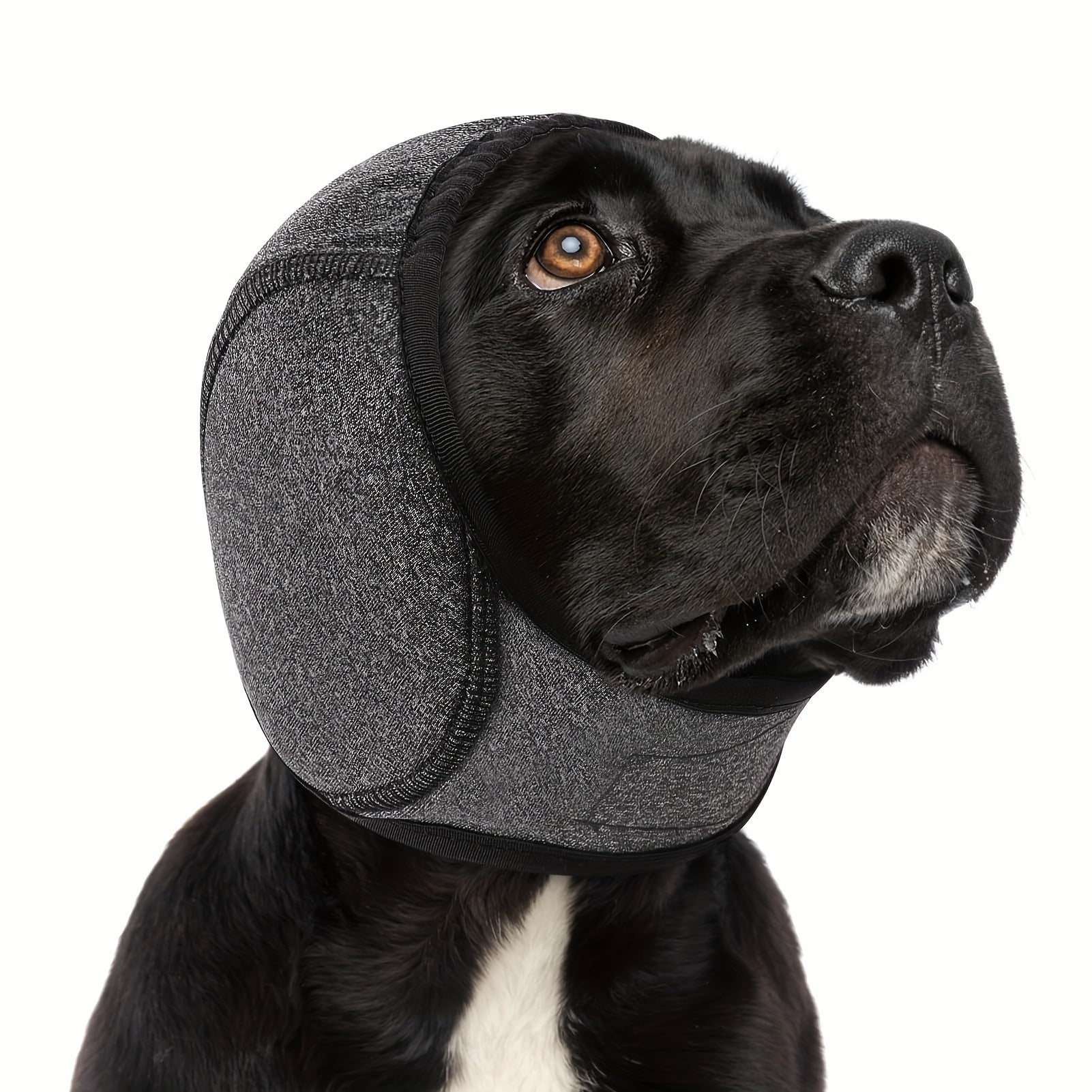 Calming Dog Hood for Noise Reduction During Fireworks