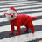 Small dog in a sky blue full cover four leg raincoat