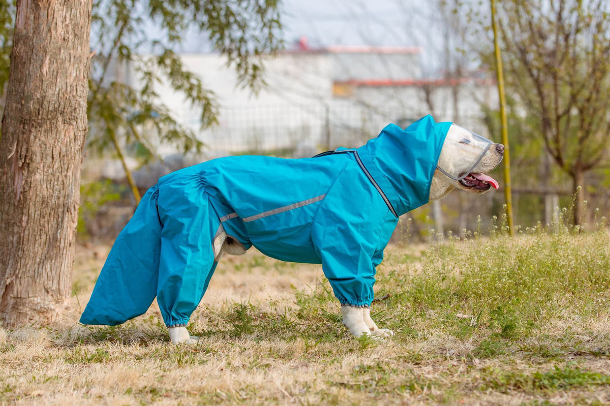 Four leg dog raincoat with tail cover, available in 4 styles, image 25
