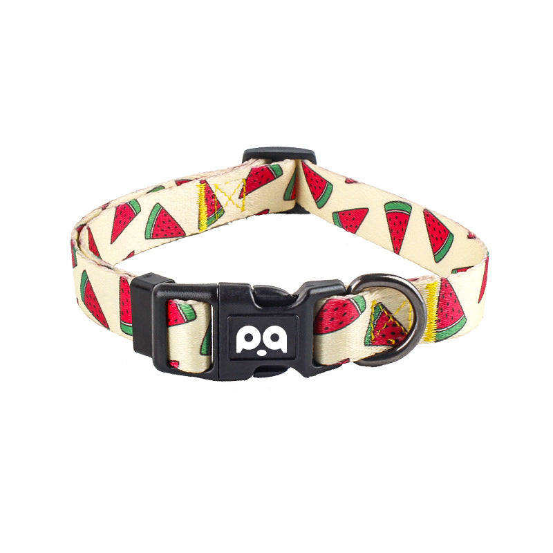 Printed dog collar with star pattern and matching lead