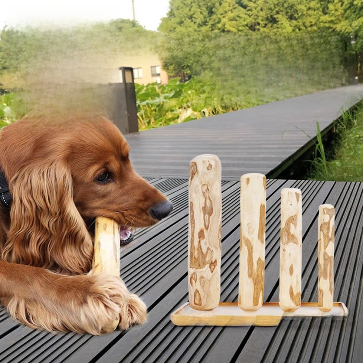 Natural coffee wood dog chew stick for small to large dogs, view 1