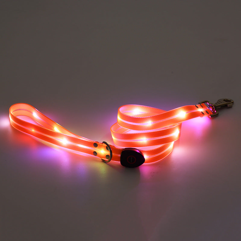 USB rechargeable LED dog collar and lead in Pink Orange Lead, top view