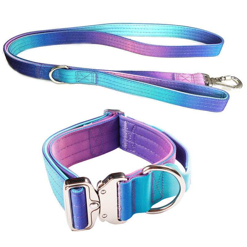 Gradient dog collar and lead, available from Pet Royale UK