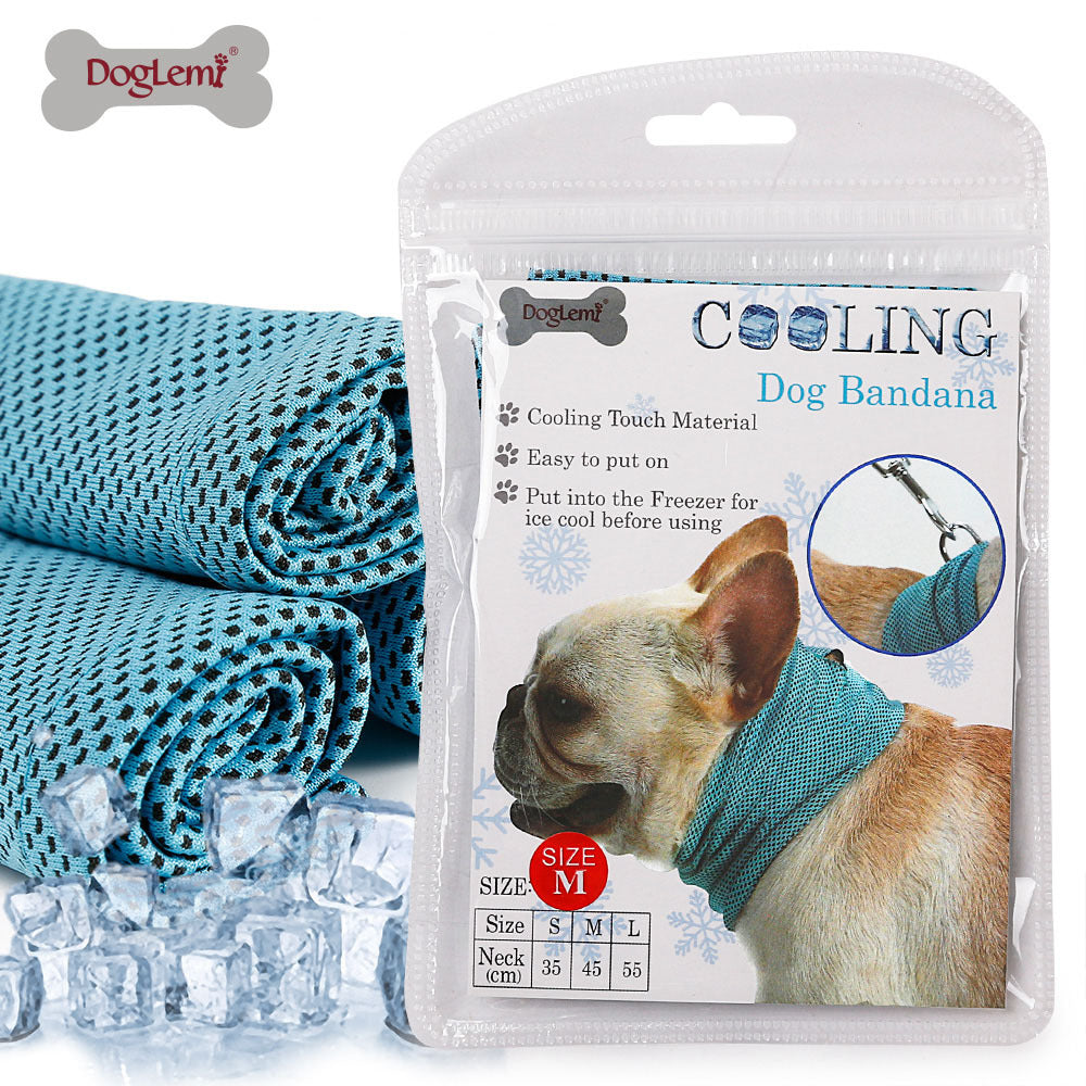 Summer cooling scarf for dogs and cats in Blue, in a home setting