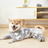 Coral fleece four-leg dog pyjamas in Starry Pink Glow, close-up detail