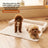 Thick square pet sofa cushion bed for dogs and cats, photo 1 of 23