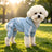 Four leg pet hoodies shown in seven colours