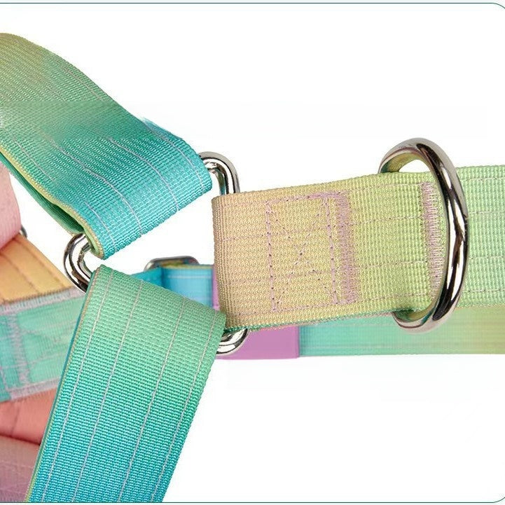Small dog harness and lead set in bright gradient colours