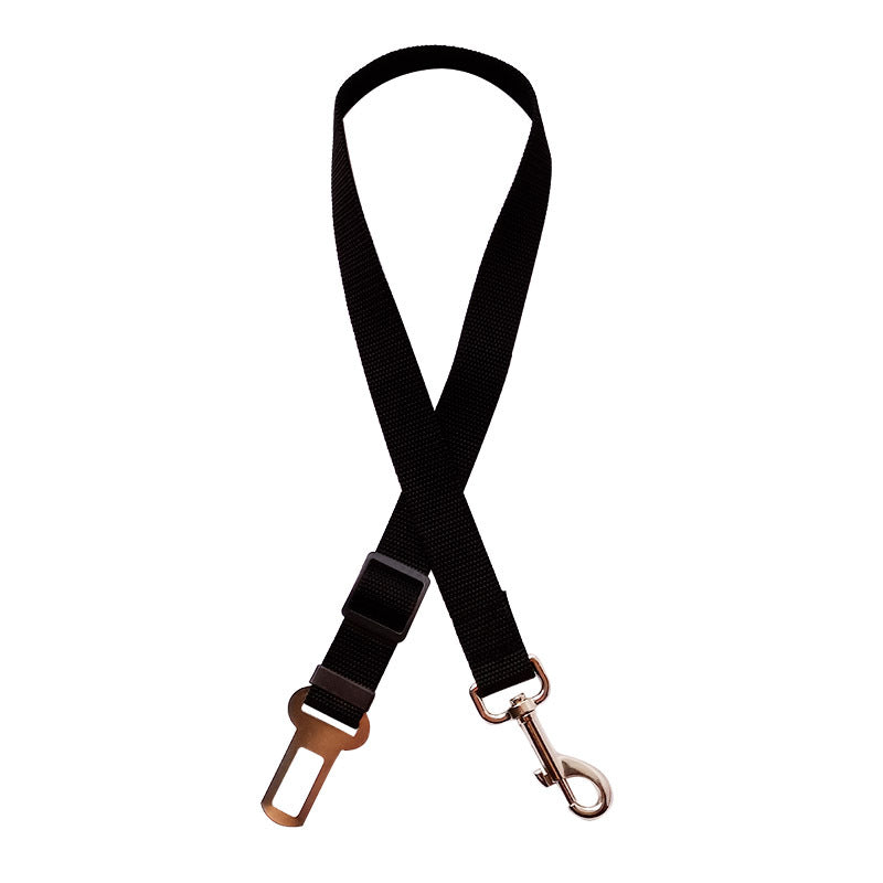 Pet car seat belt safety lead in blue with metal clip