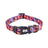 Printed dog collar with star pattern and matching lead
