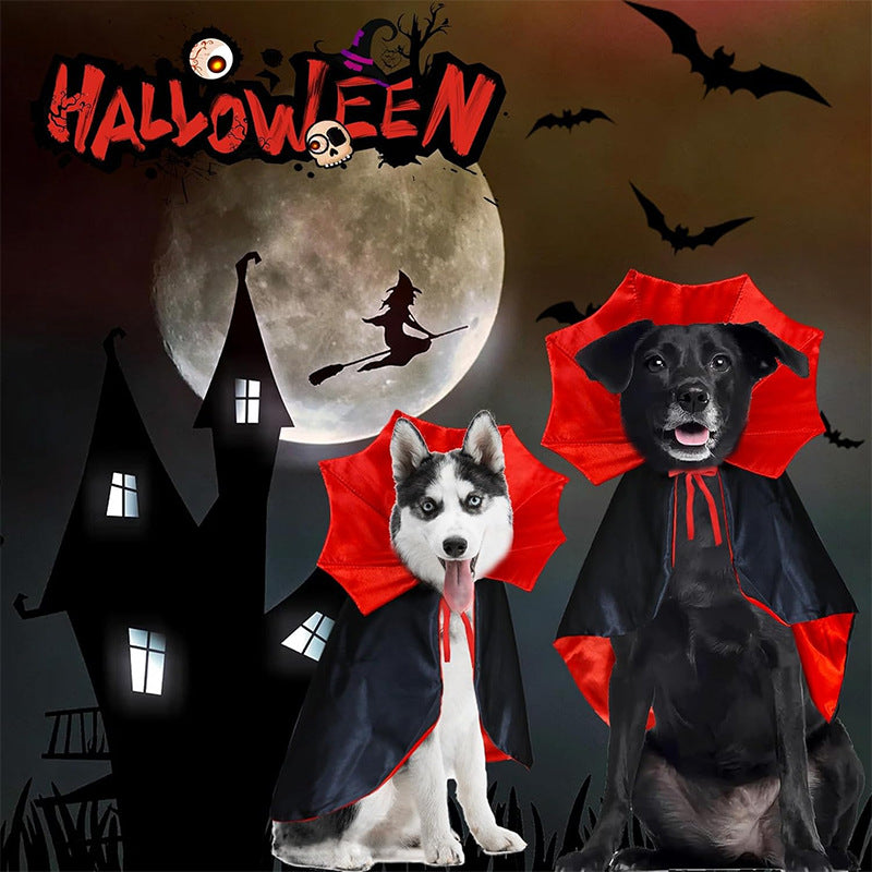 Cat wearing a red cartoon style witch cloak