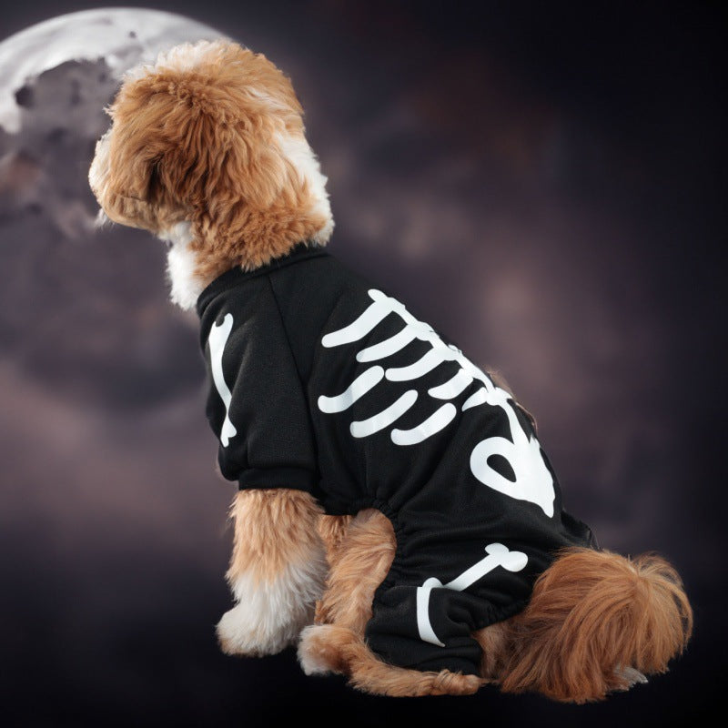 Dog wearing a glow in the dark skeleton costume