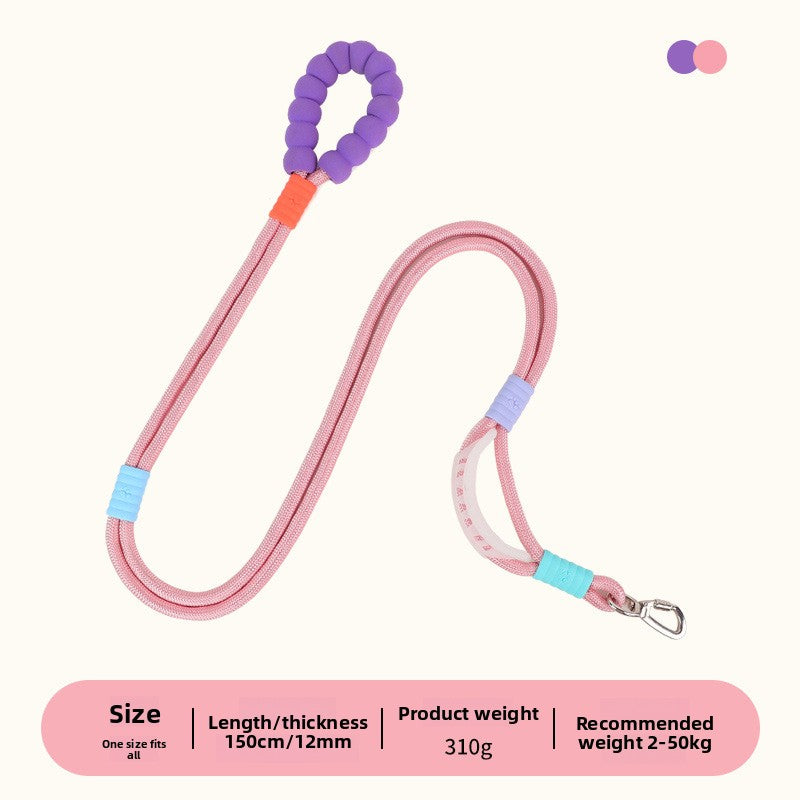Bright nylon dog lead in vivid colour, product image 9