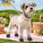 Four leg dog coverall with lead attachment, available in 2 colours, image 43