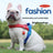 Reflective no pull saddle harness in red and blue on a dog