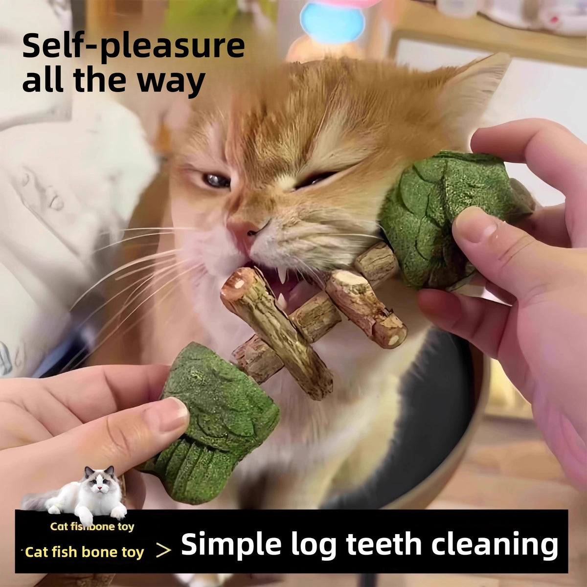 Fish Bone Catnip Chew Stick for Cats, Bite-Resistant Molar Toy