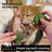 Fish Bone Catnip Chew Stick for Cats, Bite-Resistant Molar Toy
