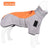 Large dog in a grey and orange reflective padded gilet