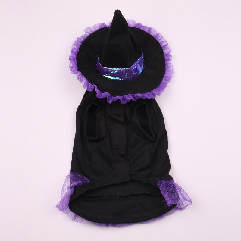 Purple wizard Halloween costume for dogs and cats in Purple, in a home setting