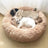 Pet Bed