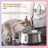 Pet Water Dispenser