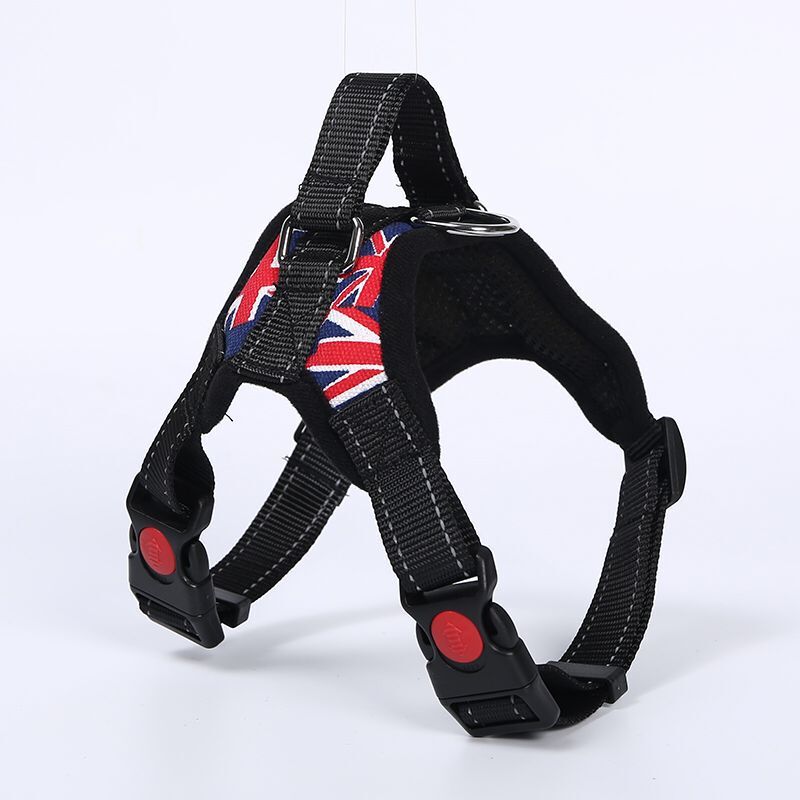 Breathable adjustable dog harness with reflective lead in Purple, front view