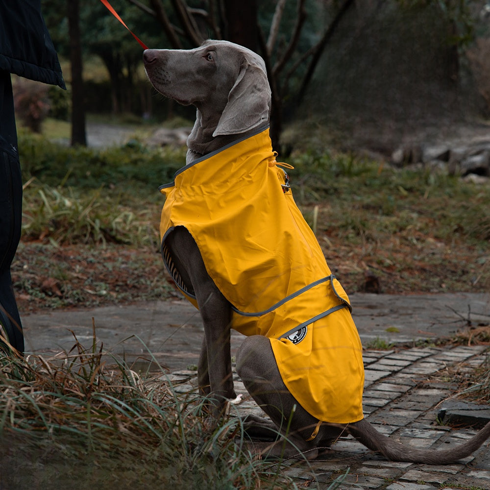 Waterproof windproof dog raincoat, available in 4 colours, image 1